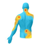 Referred Pain - Back